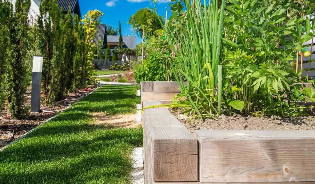 There are many variations of passages of Lorem Ipsum