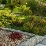 Ipsum has been the industry’s standard dummy text ever since the 1500s