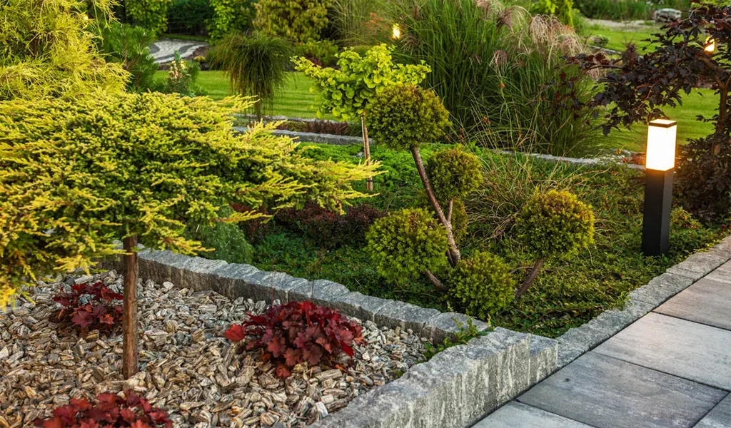 Ipsum has been the industry’s standard dummy text ever since the 1500s