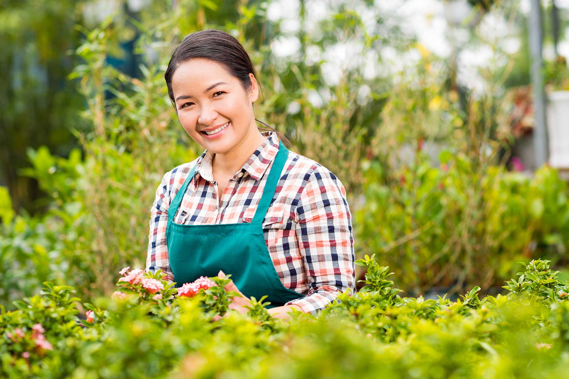 Simple Gardening Tips for Beginners