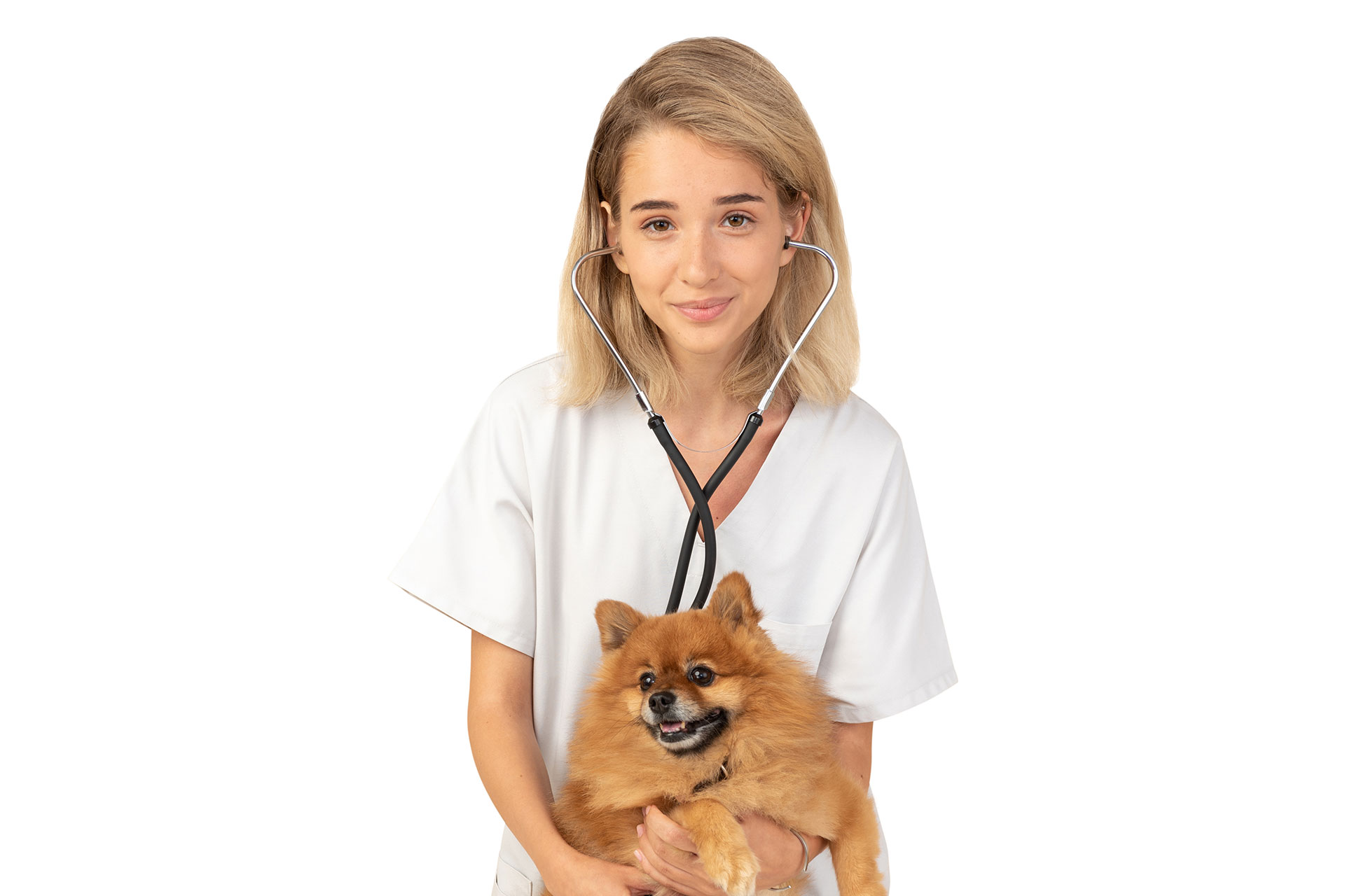 Vaccines For Pet