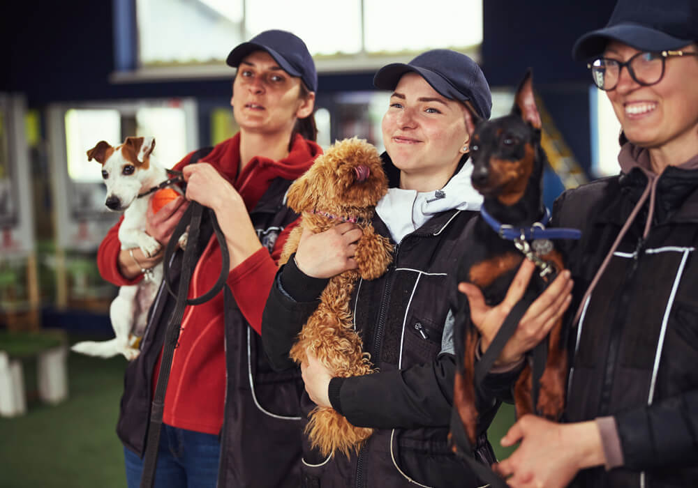 Behind The Scenes: A Glimpse Into The Daily Life Of Animal Rescuers