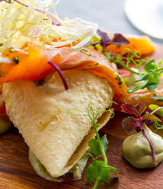 Image hover effect image